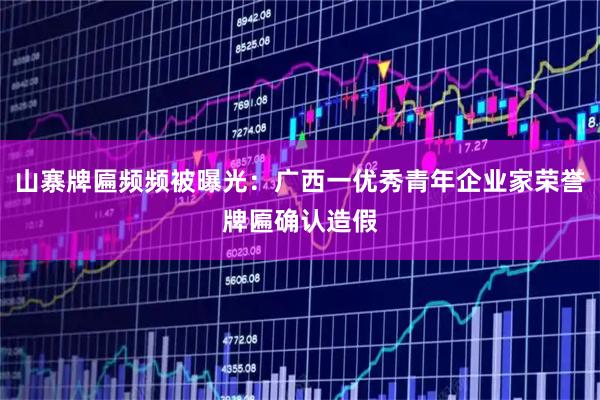 山寨牌匾频频被曝光：广西一优秀青年企业家荣誉牌匾确认造假