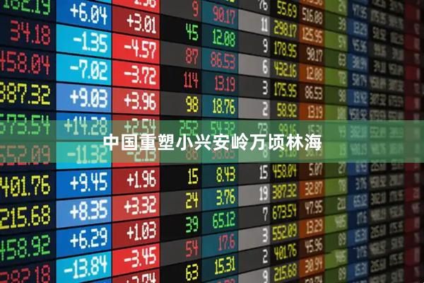 中国重塑小兴安岭万顷林海