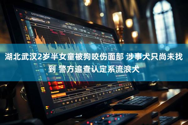 湖北武汉2岁半女童被狗咬伤面部 涉事犬只尚未找到 警方追查认定系流浪犬